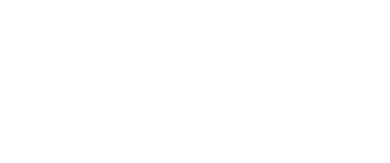 Pigiesse